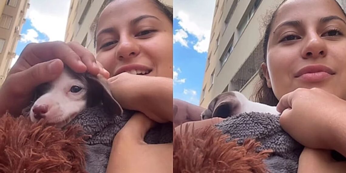 Cachorro sem patas dianteiras encanta crianças e gera cena inesquecível