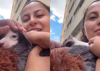 Cachorro sem patas dianteiras encanta crianças e gera cena inesquecível