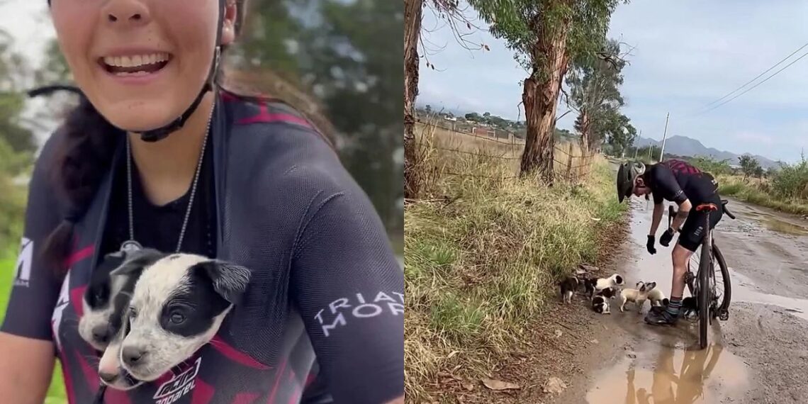 Ciclista encontra filhotes abandonados na montanha e decisão muda sua vida para sempre