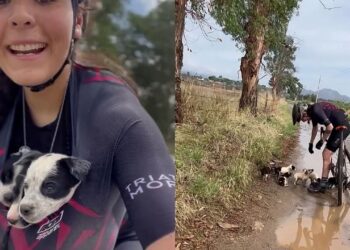 Ciclista encontra filhotes abandonados na montanha e decisão muda sua vida para sempre