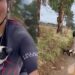 Ciclista encontra filhotes abandonados na montanha e decisão muda sua vida para sempre