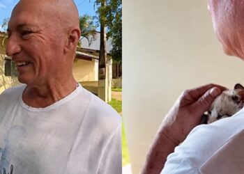 Idoso perdeu sua gata e recebeu uma surpresa que devolveu sua alegria em casa