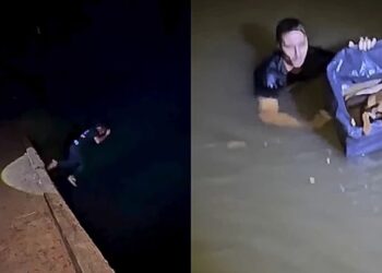 Rapaz pula de ponte alta para salvar cachorro que se afogava em rio