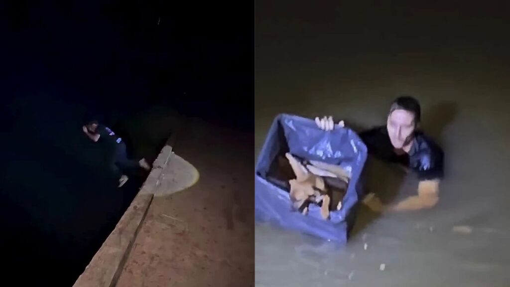 Rapaz pula de ponte alta para salvar cachorro que se afogava em rio