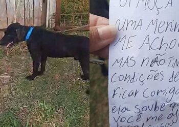 Mulher abre o portão e encontra cachorro abandonado com uma carta comovente