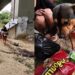Cachorro emociona a internet ao reagir de forma inesperada após receber ajuda nas ruas