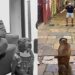 Cachorro ouve a voz do dono após meses longe e sua reação emociona milhões