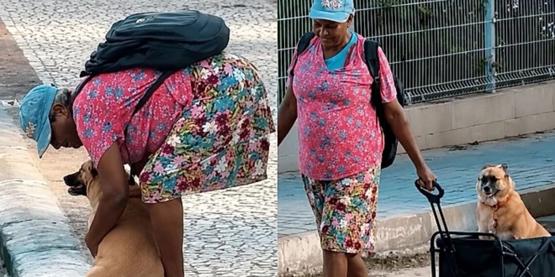 Ela enfrenta dificuldades todos os dias, mas nunca deixa sua companheira para trás