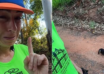 Corredora encontra cão abandonado em estado crítico em área rural