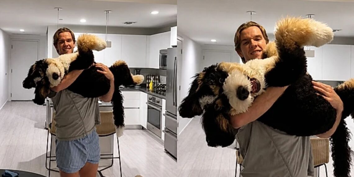 Cachorro grandão conquista a internet ao insistir em pedir colo como se ainda fosse um filhote