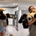 Cachorro grandão conquista a internet ao insistir em pedir colo como se ainda fosse um filhote