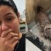 Cachorrinha apronta no quintal e deixa família sem acreditar no que viu