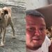 Homem abre a porta para uma cadela durante a tempestade e acorda com uma surpresa inesperada