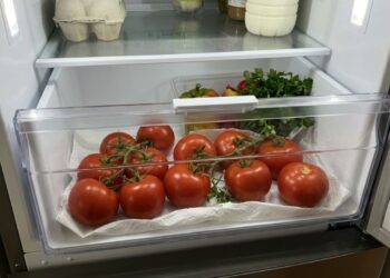 Pare de guardar tomates maduros na gaveta inferior da geladeira: essa é a maneira correta de organizar na fruteira para não perder o sabor e a textura natural