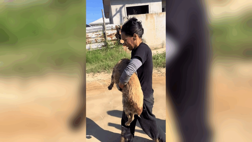 "Ele tá vivo!": emocionada, tutora abraça bombeiros após resgate de cachorro em bueiro