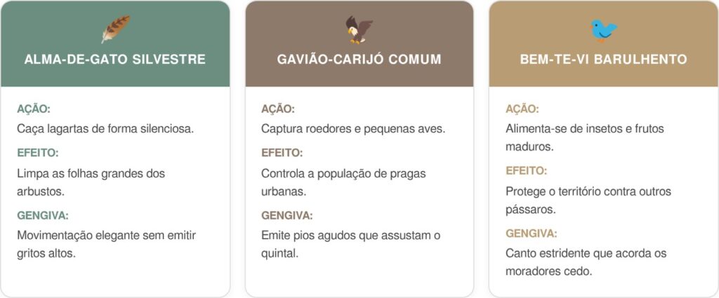 Alma-de-gato-cart-1024x425 Se você ouvir este assobio comprido vindo das árvores à tarde, nós lhe contamos o que isso significa e por que é um bom sinal