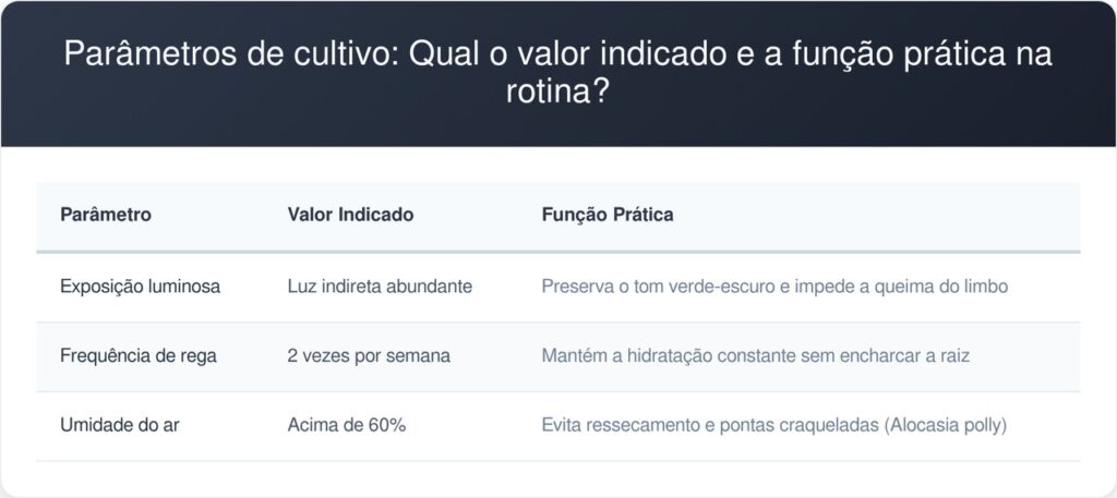 Alocasia-polly-tabela-1024x457 Adeus, bordas amareladas: nova rotina de cultivo em ambientes internos salva suas alocasias-polly, evita o encharcamento e garante folhas firmes, segundo jardineiros