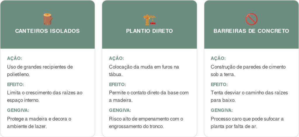 Arvores-frutiferas-exoticas-cart-1024x468 7 árvores frutíferas exóticas cujas raízes não danificam os deques de madeira, perfeitas para pátios pavimentados