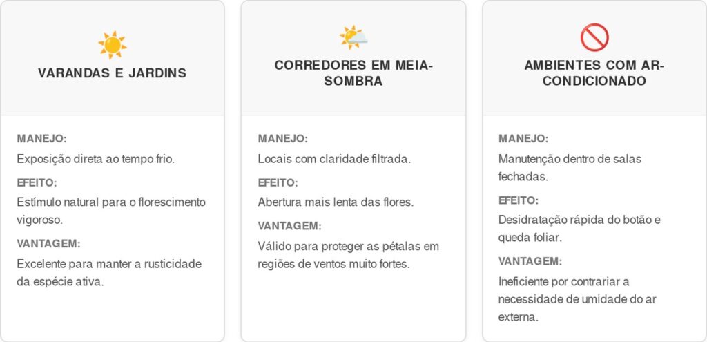 Azaleia-cart-1024x495 Você comete o erro de usar adubo comum na Azaleia? Entenda por que isso bloqueia a absorção de nutrientes e como corrigir hoje