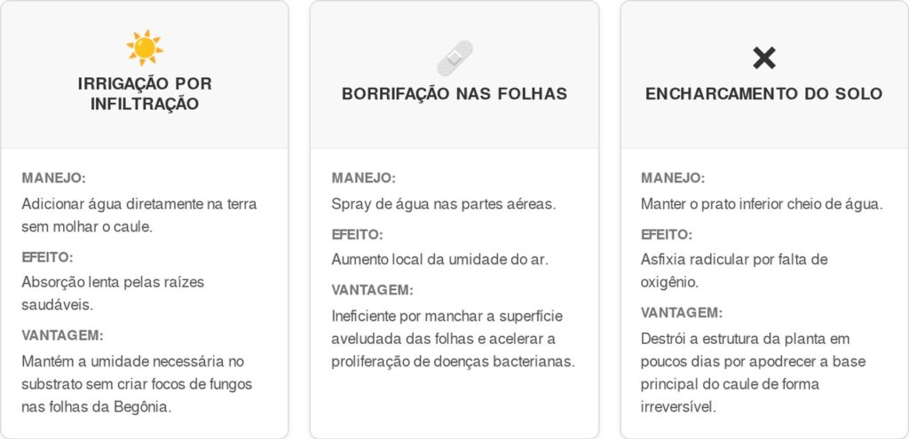 Begonia-cart-1024x495 Suas Begônias estão com folhas murchas ou botões caindo? Entenda como ajustar o posicionamento e salvar sua planta