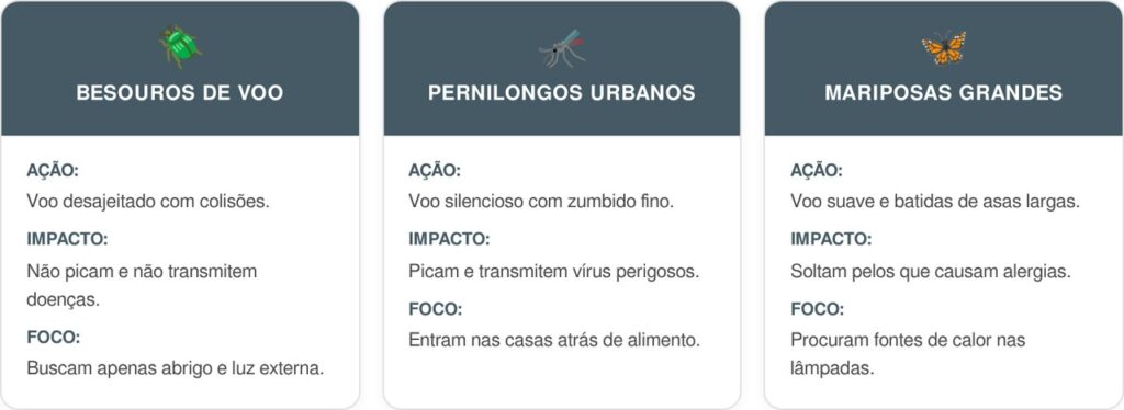 Besouros-de-voo-cart-1024x374 Se você ouvir este zumbido forte e pesado voando perto da luz à noite, nós lhe contamos o que isso significa e por que é um bom sinal