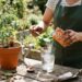 Nem veneno de agropecuária, nem sal de cozinha: a melhor maneira de eliminar o mofo branco da terra usando bicarbonato, segundo jardineiros
