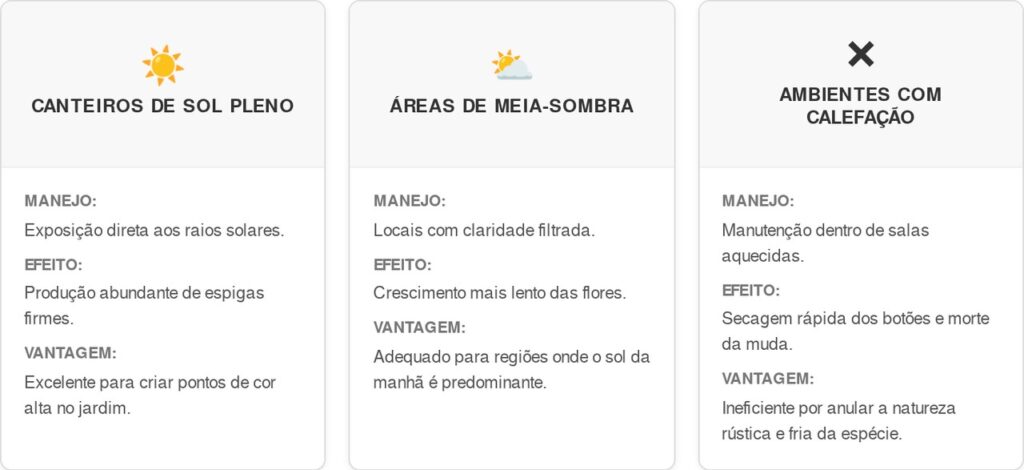 Boca-de-leao-cart-1024x470 Quer um jardim florido no inverno? Veja como a Boca-de-leão usa o frio para criar hastes verticais e vibrantes
