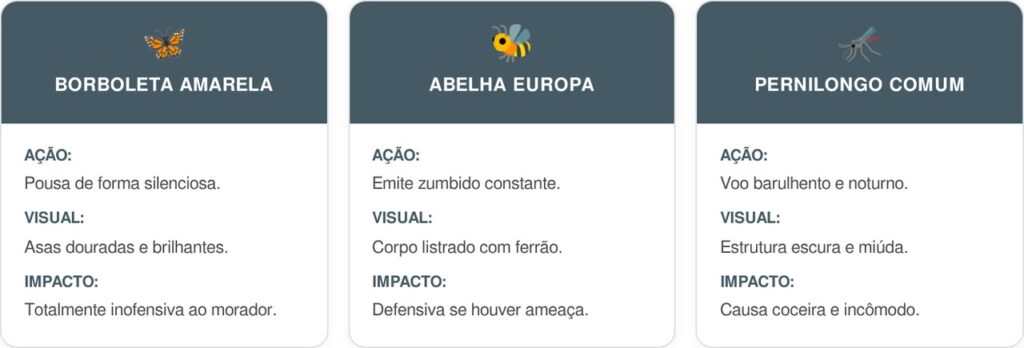 Borboleta-amarela-cart-1024x348 Se você encontrar esta delicada visita amarela descansando na janela, nós lhe diremos o que isso significa e por que é algo bom