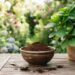 Despejar borra de café no pé de hortênsia uma vez por mês: para que serve e quais são os seus benefícios?