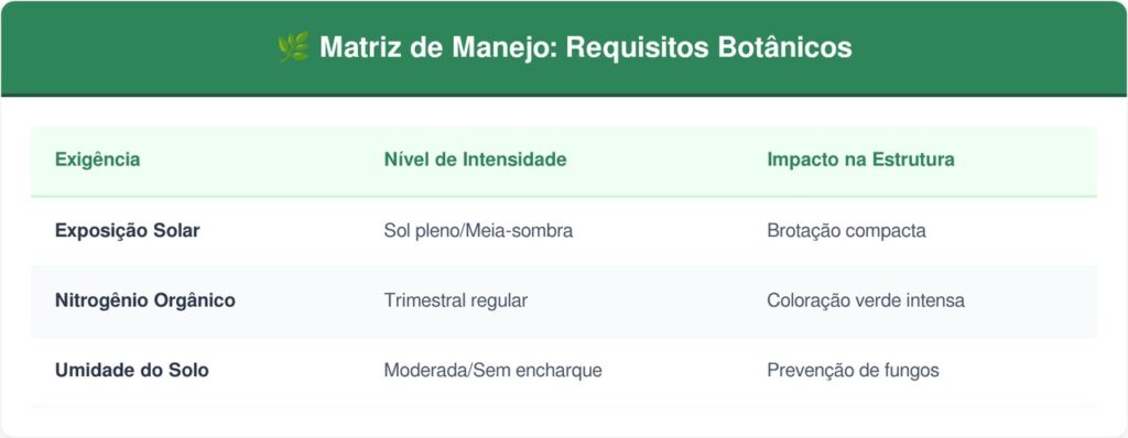 Buxinho-tabela-1024x398 A planta escultural mais clássica para cultivar no jardim de frente: como cuidar e fazer este arbusto manter o formato