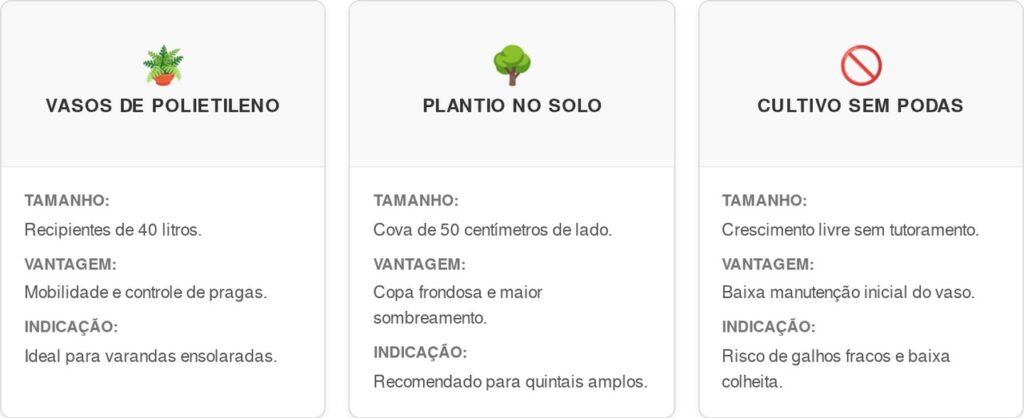 Caja-manga-cart-1024x418 A fruta silvestre que tem cor amarela oval e sabor de manga com caju e que poucos brasileiros conhecem