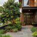 Essa árvore é ideal para o seu jardim: não racha o piso, proporciona sombra e dá frutos verdes exóticos perfeitos para sucos