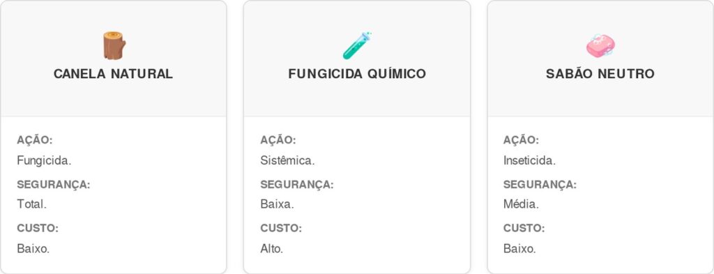 Canela-em-po-cart-1024x393 Despejar canela em pó na terra dos vasos uma vez por semana: para que serve e quais são os seus benefícios?