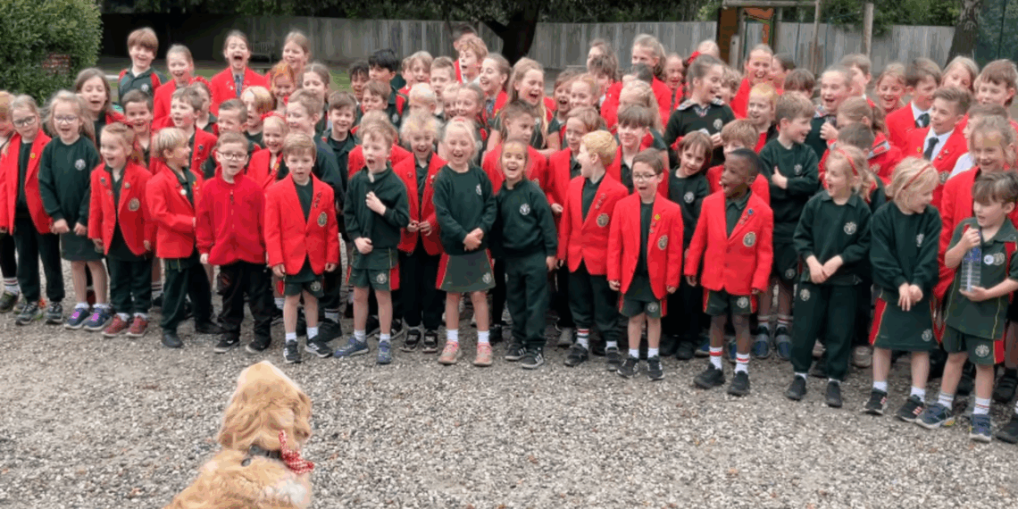 Conheça a história de Willow, a golden retriever que virou a cadela de terapia da escola