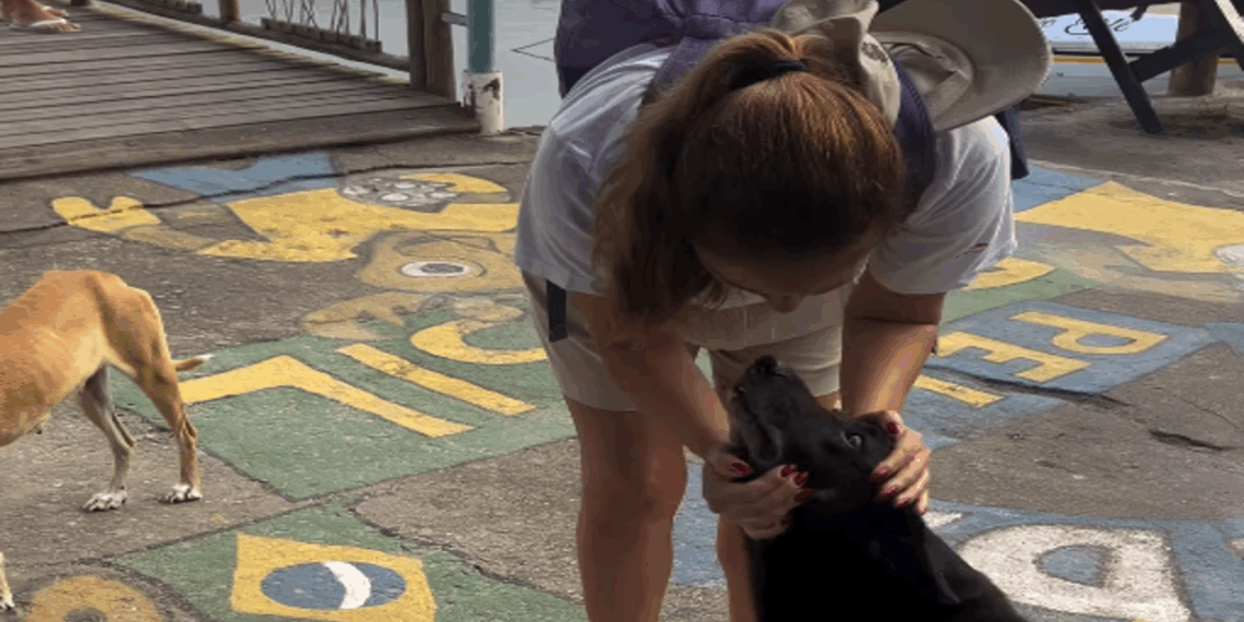 Ela sabia que era adeus”: Turista chora ao se despedir de cadela em viagem pela Bahia