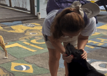 Ela sabia que era adeus”: Turista chora ao se despedir de cadela em viagem pela Bahia