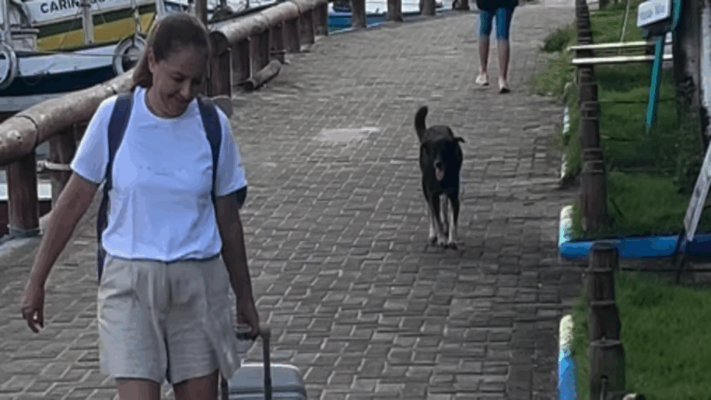Ela sabia que era adeus”: Turista chora ao se despedir de cadela em viagem pela Bahia