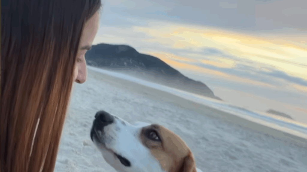 “Nunca estou sozinha”: Jovem pede um sinal após oração e cão surge na praia para confortá-la