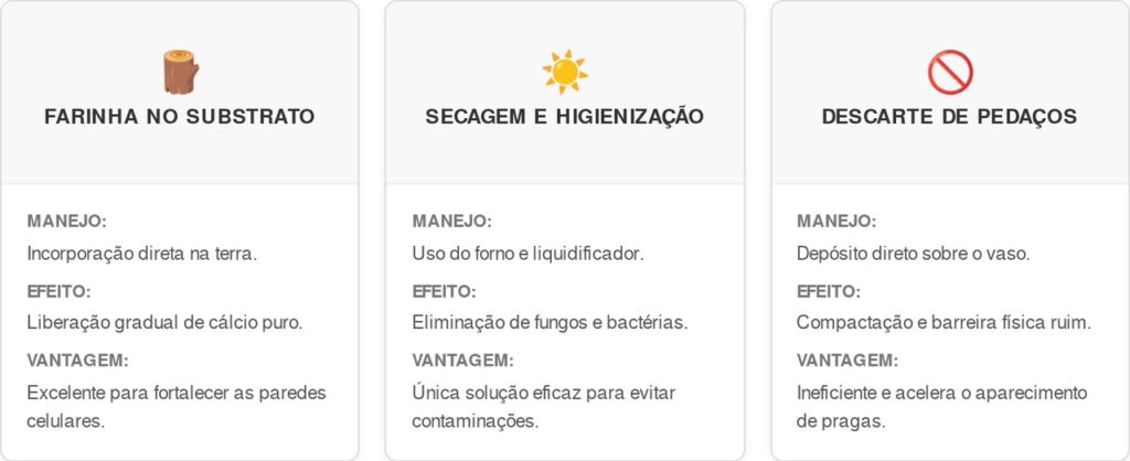 Casca-de-ovo-cart-1024x418 Você comete o erro de jogar casca de ovo inteira na planta? Entenda por que isso atrai odores e como preparar o adubo do jeito certo