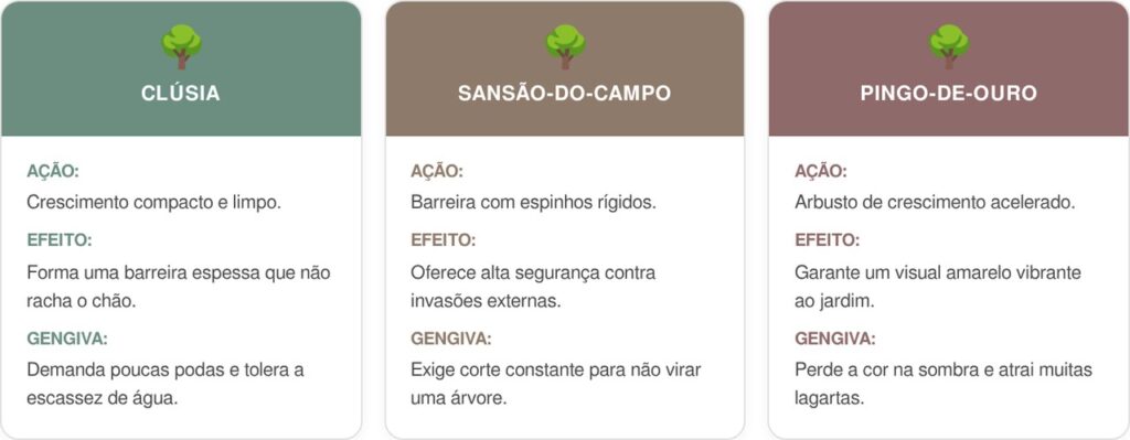 Clusia-cart-1024x399 Essa planta é ideal para o limite do terreno: não racha o piso, proporciona sombra espessa e dá folhas grossas que formam uma parede