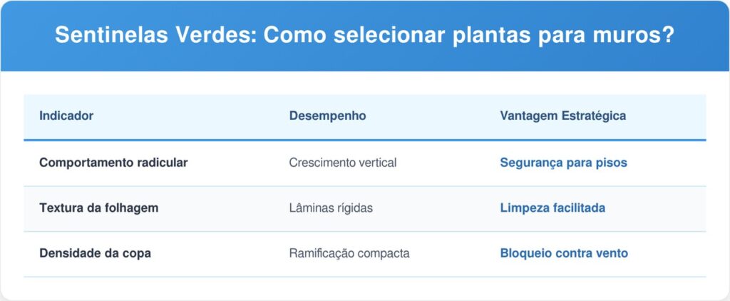 Clusia-tabela-1024x422 Essa planta é ideal para o limite do terreno: não racha o piso, proporciona sombra espessa e dá folhas grossas que formam uma parede