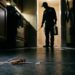 5 perguntas que você deve fazer à dedetizadora antes de deixar aplicarem veneno na sua casa