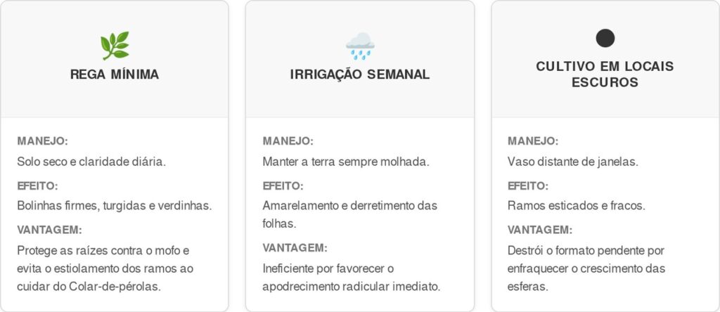 Colar-de-perolas-cart-1024x444 Se você tem um colar-de-pérolas sofrendo com o frio, você tem uma suculenta sensível em casa: por que e para que espaçar a rega
