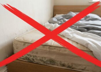 Dormir encostado na parede úmida está destruindo seu colchão? Veja como o afastamento de apenas 5cm pode salvar sua saúde e o móvel