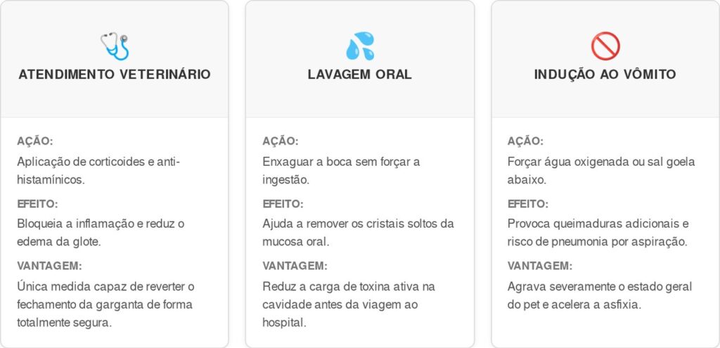 Comigo-ninguem-pode-cart-1024x495 Adeus ao risco de intoxicação grave em cães e gatos: o segredo é remover ou suspender essa espécie tóxica para proteger seus animais contra microagulhas de oxalato