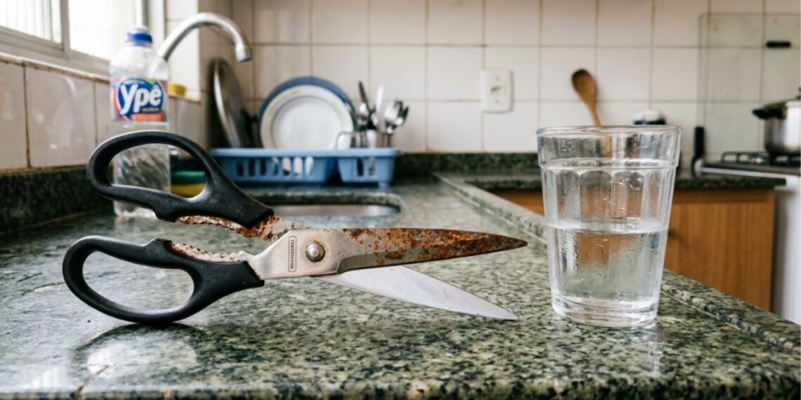 Como tirar manchas de ferrugem da tesoura e facas velhas da cozinha: o truque fácil de mergulhar a lâmina em um copo com vinagre branco puro que funciona sempre