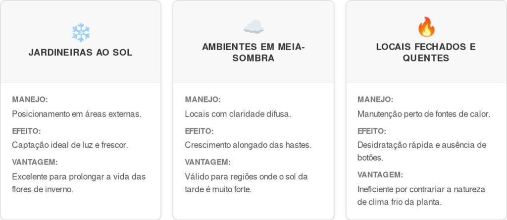 Cultivar-o-Amor-perfeito-cart-1024x444 Como montar uma jardineira linda e cultivar o Amor-perfeito garantindo florações por muito mais tempo