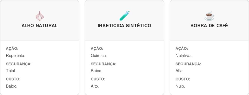 Dente-de-alho-cart-1024x393 Colocar um dente de alho enterrado no vaso uma vez por semana: para que serve e quais são os seus benefícios?
