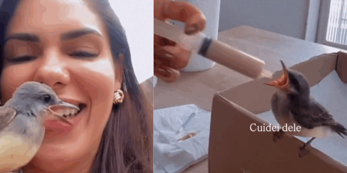Mãe de passarinho”: Psicóloga salva filhote e cria um laço inesquecível de gratidão