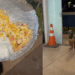 "Ele não latiu, apenas esperou": Cão caramelo emociona comerciante ao aguardar na porta de pizzaria